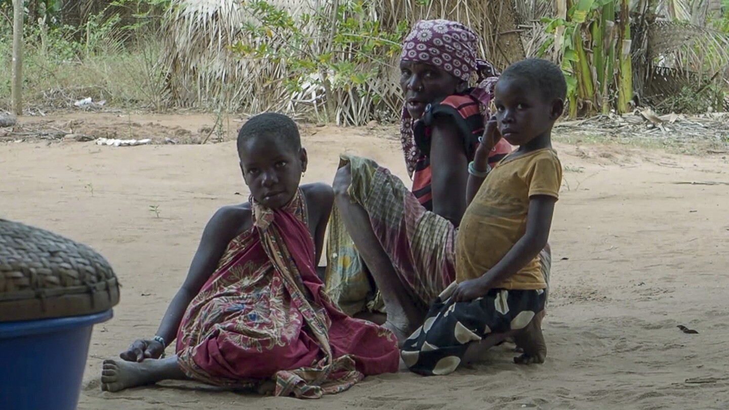 希少になる UN raises alert for 780,000 people displaced in Mozambique アフリカ